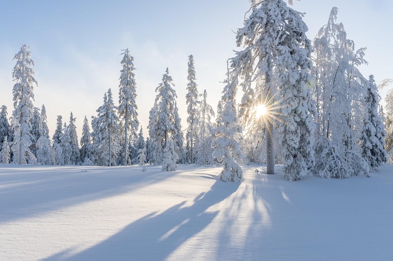 Enchanted Lighting